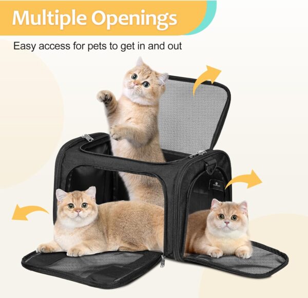 Discala Cat Dog Carrier Up to 15 Lbs TSA Airline Approved Pet Carrier for Small Medium Cats Puppies Dog Carriers for Small Dogs Collapsible Soft Sided Cat Travel Carrier - Black 15.7"x10.2"x10.2" - Image 4