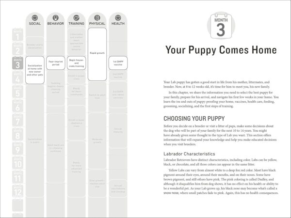 Your Labrador Retriever Puppy Month by Month, 2nd Edition: Everything You Need to Know at Each Stage of Development (Your Puppy Month by Month) - Image 4