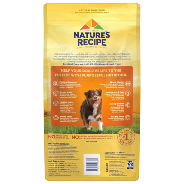 Nature′s Recipe Grain Free Chicken, Sweet Potato & Pumpkin Recipe Dry Dog Food, 4 lb. Bag - Image 5