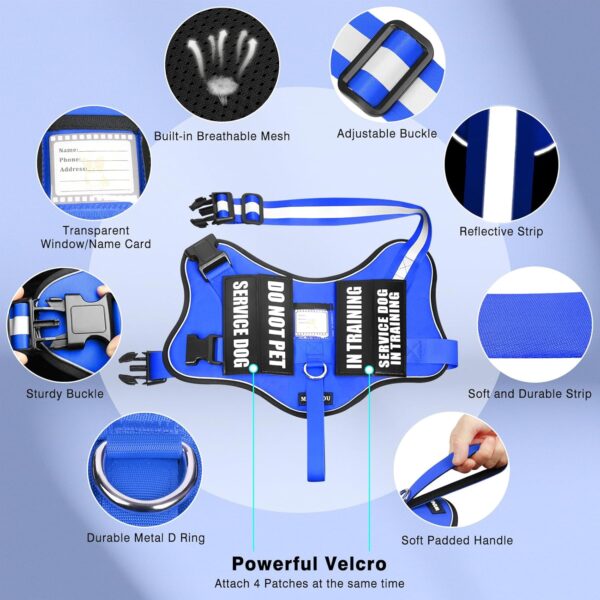 Service Dog Vest Harness and Leash Set+10 Patches,No Pull&Easy Walk Reflective Dog Harness with Soft Padded Handle for Training/Everyday,Fit Small/Medium/Large/Extra-Large Dogs (Blue M) - Image 5