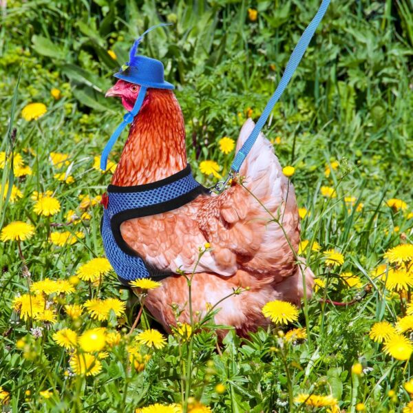 9 Pcs Chicken Harness with Leash and Chicken Hats Set, Funny Chicken Accessories Chicken Hats for Hens Duck Goose Parrot Small Pet Harness Adjustable Chicken Training Walking Supplies - Image 4