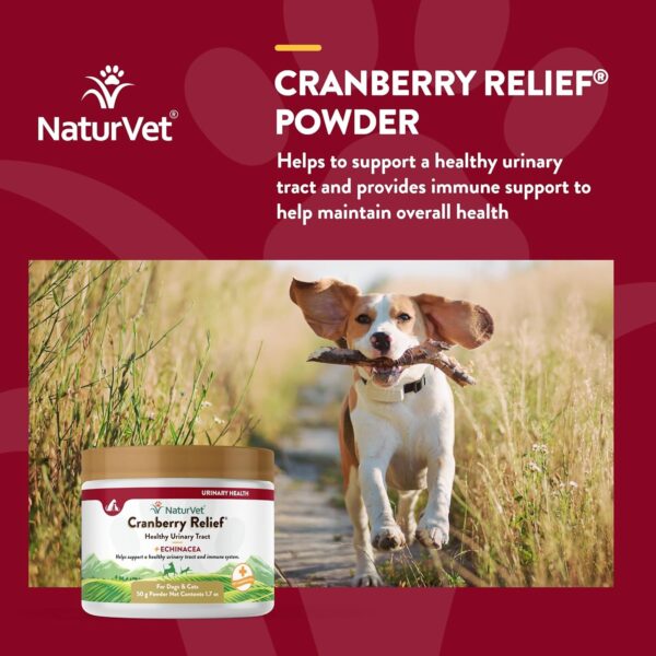 NaturVet – Cranberry Relief Plus Echinacea | Helps Support a Healthy Urinary Tract & Immune System (50g Powder) - Image 4