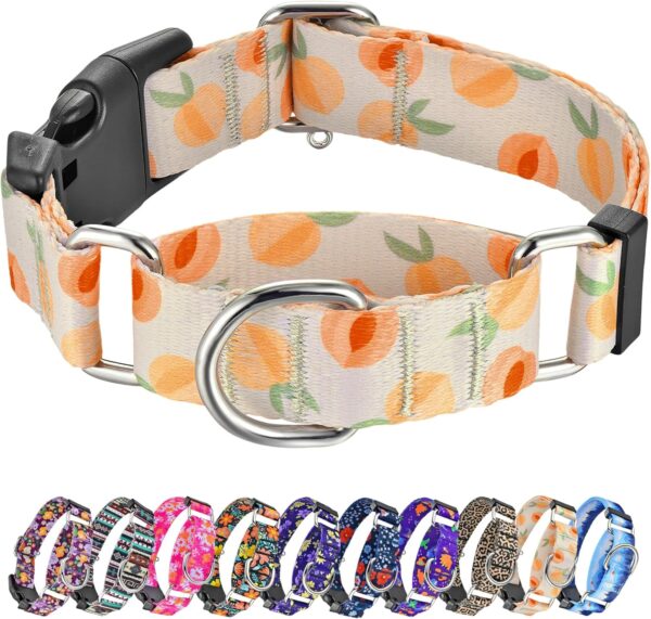 Martingale Collar for Dogs Peach Dog Collar for Small Medium Large Dogs Cute Holiday Summer Dog Collars Pet Gift (Peach,Medium)