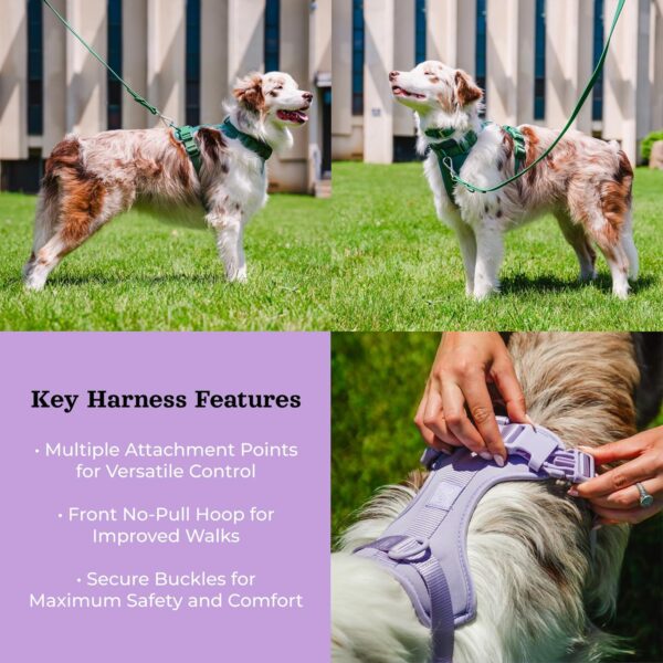 Dog Harness and Leash Set | BearBone No Pull Dog Harness and Waterproof Dog Collar and Leash Set | Heavy Duty Dog Harness, Leash and Collar | Medium Dog Harness, Leash and Collar (Lilac, Medium) - Image 2