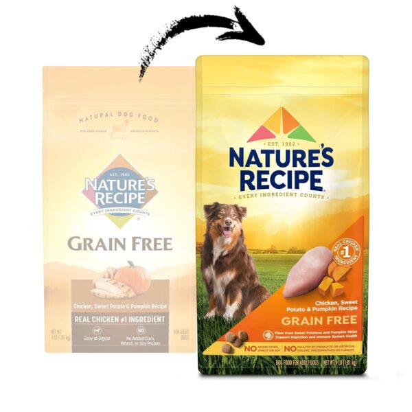 Nature′s Recipe Grain Free Chicken, Sweet Potato & Pumpkin Recipe Dry Dog Food, 4 lb. Bag - Image 4