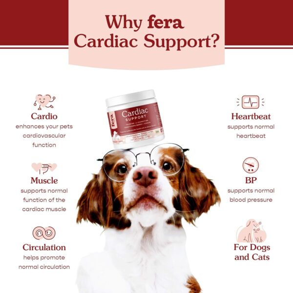 Fera Pets Cardiac Supplement for Dogs & Cats – 60 Capsules​ – Vet Created -Cardiovascular Function & Strength-Taurine, CoQ10, Organic Hawthorne Berry - Image 2