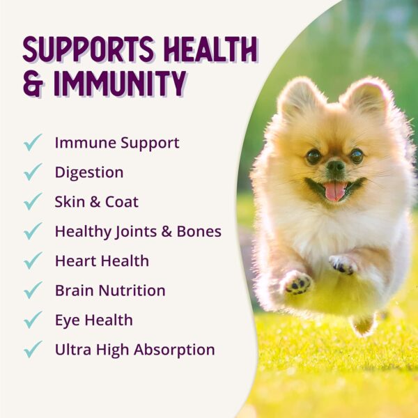 Health Extension Lifetime Multivitamin and Minerals for Dogs & Puppies, Supplements for Immune System, Digestion, Joint Support, Coat & Skin, Contains Vitamin A, D, E, K, B12, 180 Tablets - Image 7