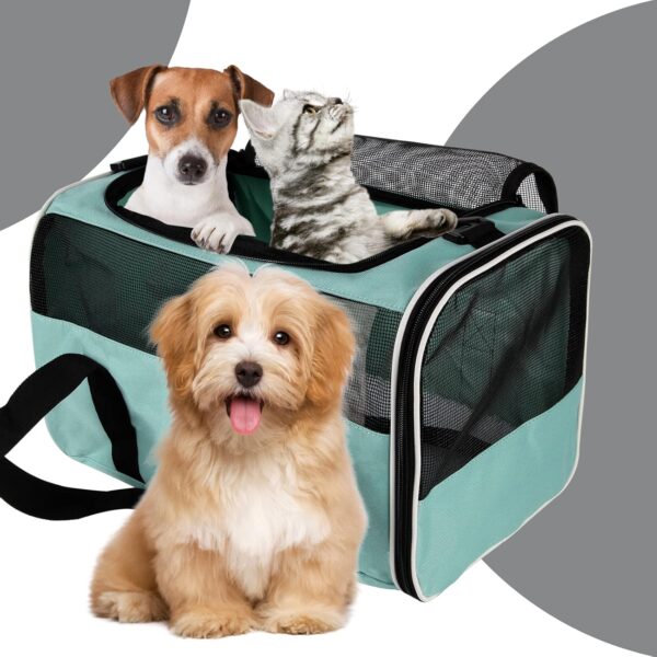 IONRIVER,Cat Carriers, Soft-Sided,Top Load Pet Carrier for Small Medium Cats Dogs Puppy 15Lbs 20 Lbs,Ventilated Design Carrier with Airline Approved (Medium,Green) - Image 6