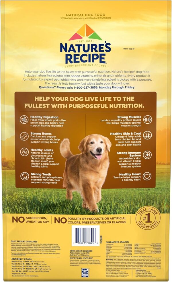 Nature’s Recipe Mature Lamb & Brown Rice Recipe Dry Dog Food, 24 lb. Bag - Image 5