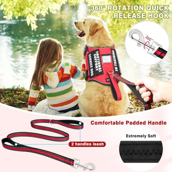 Service Dog Vest Harness and Leash Set+10 Patches,No Pull&Adjustable Reflective Dog Harness with Soft Padded Handle for Training/Everyday,Fit Small/Medium/Large/Extra-Large Dogs(Red M) - Image 2