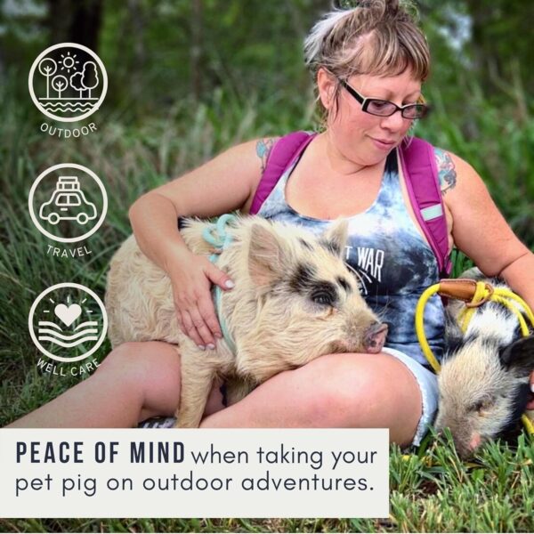 Mini Pig Harness & Leash (Small) Fully Adjustable, Infinity Style Lead, Step-in Harness, Potbelly Pig Supplies, All-in One, Pig Leash, Ideal for Small & Medium Pet Pigs (Small, Olive Green) - Image 5