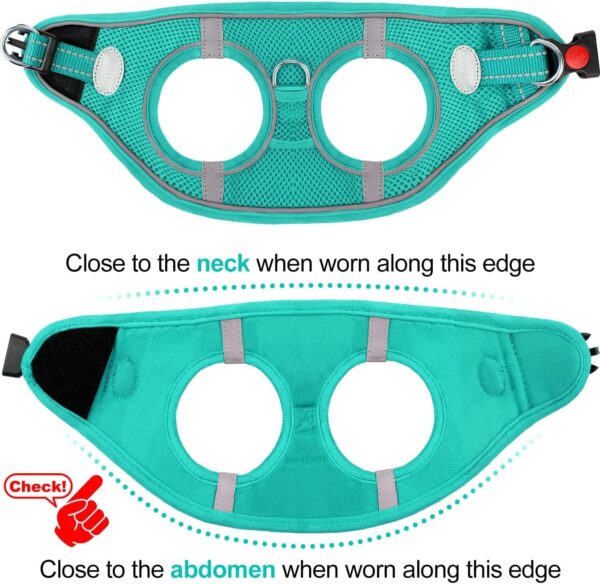 Joytale Small Dog Harness, Breathable Mesh Step-in Vest Harness, Reflective Soft Padded Harnesses Small Sized Dog for Walking, Teal, S - Image 6