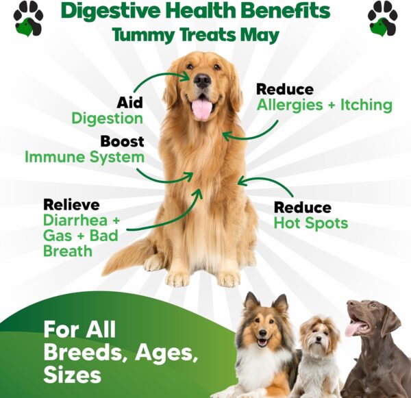 Probiotics for Dogs All Ages - Dog Probiotics for Digestive Health - Digestive Enzymes for Gut Flora, Diarrhea & Bowel Support - Gut Health Support Prebiotics for Dogs - 90 Probiotic Chews for Dogs - Image 2