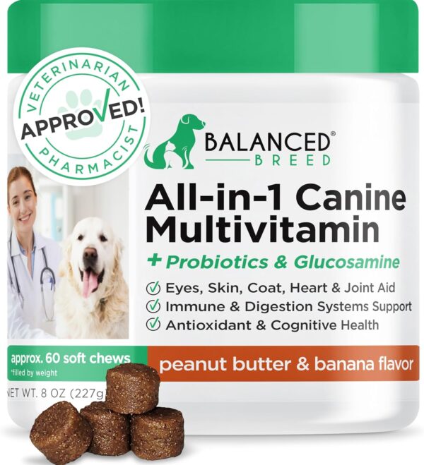 Balanced Breed All-in-1 Dog Vitamins Supplements Made in USA Non-GMO Vet-Pharmacist Approved Dog Multivitamin Probiotics Glucosamine Salmon Oil Skin Coat Supplement Dogs Senior & Adult Immune Support