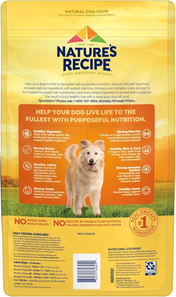 Nature′s Recipe Chicken, Barley & Brown Rice Recipe Dry Dog Food, 4 lb. Bag - Image 4