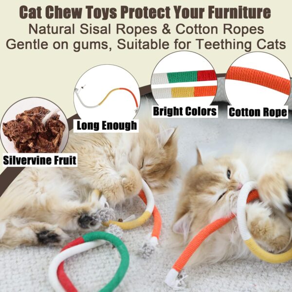 Interactive Cat Toys with Silvervine Cat Chew Toy Sets - Cat Toy for Indoor Cats Suction Cup Cat Wand Toy with Rope Cat Toys Door Hanging Kitten Toys, Detachable Feather/String/Mouse/Worm Cat Toys ﻿ - Image 4