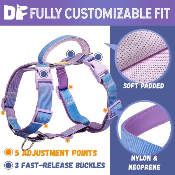 DF Martingale No Pull Dog Harness and Two Point Control Training Leash for Dog Walking Only Works with Martingale Harnesses, Rainbow, Chest 28"-33" - Image 3