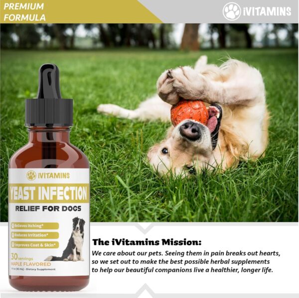 Natural Yeast Infection Treatment for Dogs | Helps to Support Itch Relief, Inflammation Relief & More | Dog Ear Infection Treatment | Dog Itch Relief | Dog Yeast Ear Infection Treatment | Maple Flavor - Image 8