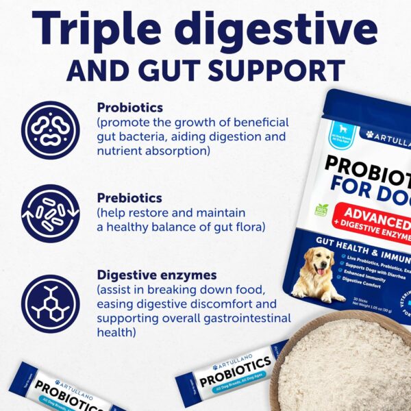 Dog Probiotics and Digestive Enzymes - Enhance Gut Health, Itchy Skin, Allergies, Immunity - 30 Sticks - Image 3