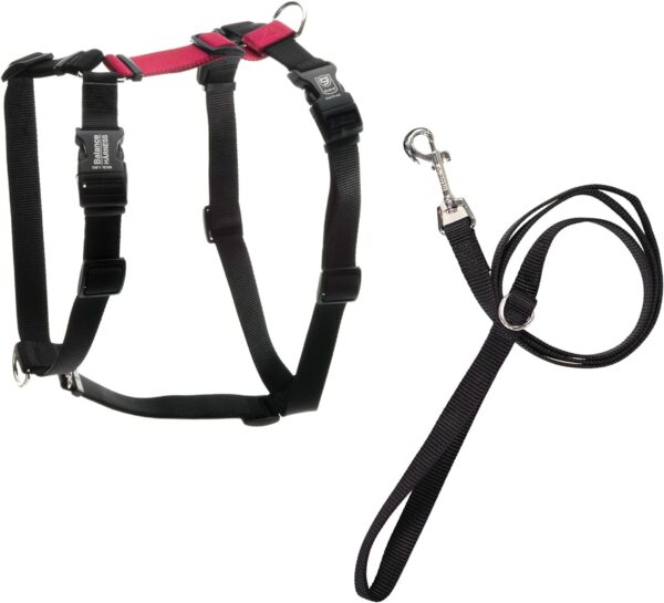 Blue-9 Pet Products No-Pull Balance Harness and Loose Leash Walking Set Dogs, Made in The USA, Red, Small