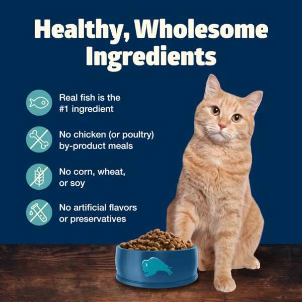 Blue Buffalo Freedom Grain-Free Adult Dry Cat Food, Complete & Balanced Nutrition for Indoor Cats, Made with Natural Ingredients, Fish Recipe, 5-lb. Bag - Image 5