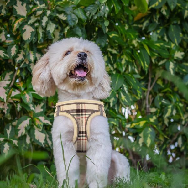 Dog Harness for Small Dogs,Small Dog Harness Puppy Harness Breathable Mesh Reflective Adjustable Safety Buckle XS Dog Harness Puppy Harness and Leash Set(Beige&XS) - Image 7