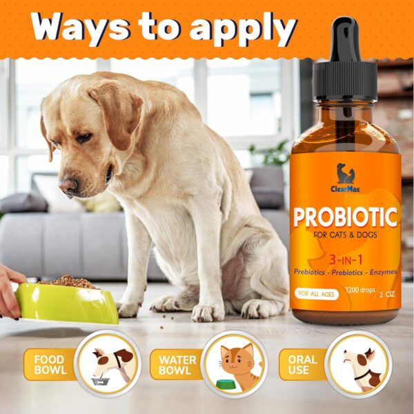 Probiotics for Dogs ◆ Cat Probiotic ◆ Great Dog Probiotics and Digestive Enzymes for Pet ◆ Dog Digestive Enzymes & Pure Prebiotic ◆ Canine Probiotic ◆ Probiotics for Cats ◆ Puppy Probiotic - Image 5