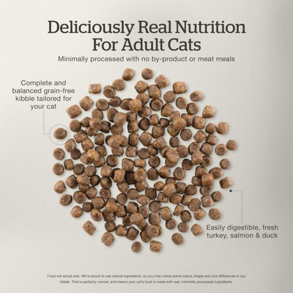 Now Fresh Dry Cat Food, Turkey, Salmon and Duck Recipe, 3 lbs - Grain Free Cat Food, Made with Real Meat and Fish - Image 5