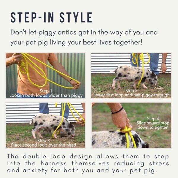 Mini Pig Harness & Leash (Small) Fully Adjustable, Infinity Style Lead, Step-in Harness, Potbelly Pig Supplies, All-in One, Pig Leash, Ideal for Small & Medium Pet Pigs (Small, Olive Green) - Image 7