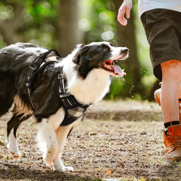 rabbitgoo Dog Harness for Large Dogs No Pull, Comfortable Padded Plaid Dog Harness with Handle Easy Control, Adjustable Reflective Puppy Pet Harness Vest with 2 Leash Clips, Brown Plaid, L - Image 9