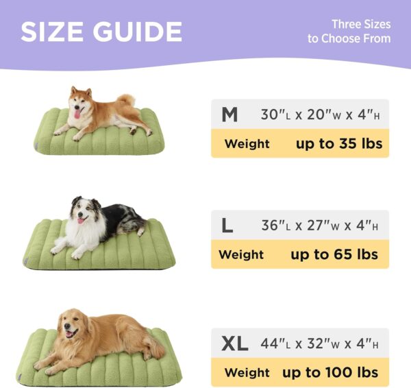 Lesure 4 Inch Thick Orthopedic Foam Dog Bed for Large Dogs, Waterproof Chic Flat Dog Bed with Removable Cover, Cute Fuzzy Pet Beds for Indoor Dogs (36" x 27", Green) - Image 6