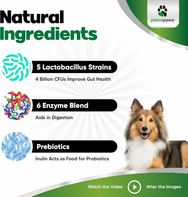 Probiotics for Dogs All Ages - Dog Probiotics for Digestive Health - Digestive Enzymes for Gut Flora, Diarrhea & Bowel Support - Gut Health Support Prebiotics for Dogs - 90 Probiotic Chews for Dogs - Image 4