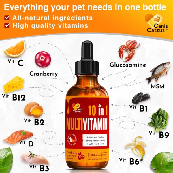 Multivitamin for Dogs & Cats | Multivitamin for Dogs | Cat Multivitamin | Dog Vitamin | Cat Vitamin | Pet Vitamin | Vitamins for Cats | Liquid Dog Vitamins | Liquid Cat Vitamins | 2 Oz - Image 3