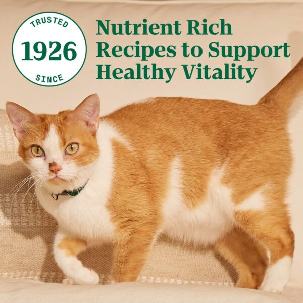 Nutro Wholesome Essentials Senior Dry Cat Food, Chicken & Brown Rice Recipe, 3 lbs. - Image 9