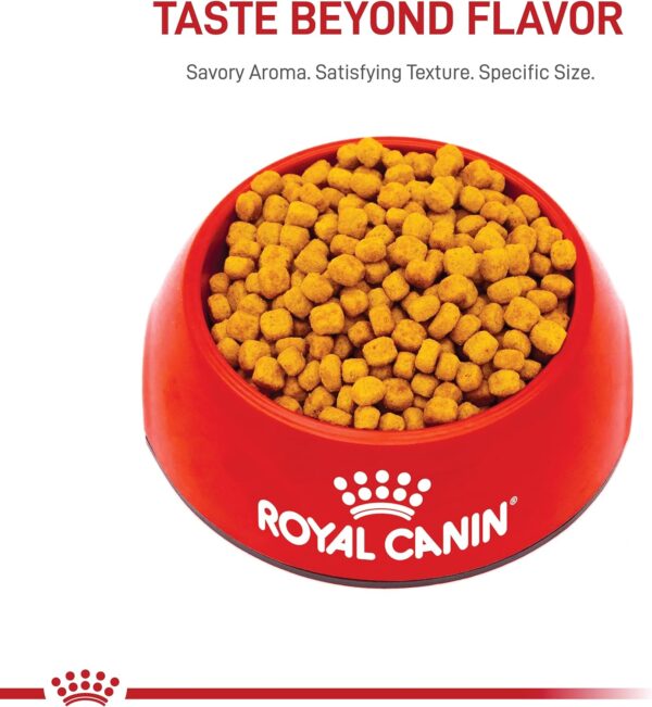 Royal Canin Indoor 7+ Adult Dry Cat Food, 5.5 lb bag - Image 10