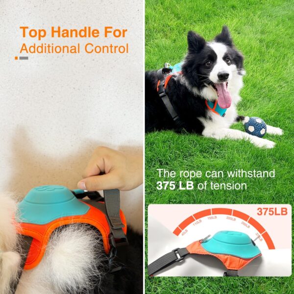 Dog Harness with Retractable Leash，2-in-1 Big & Medium Dog Harness Vest with Built-in Auto-Stop Function Leash, 370 LB of Pull Adjustable Dog Walking Harness-L, Hand Free Dog Leash Harness Set - Image 5