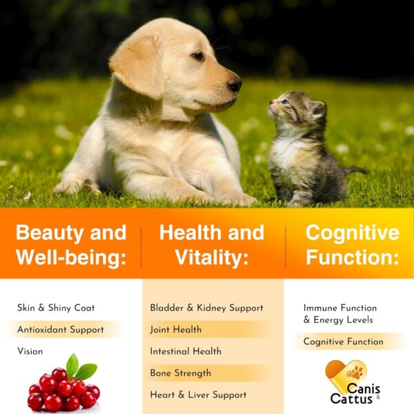 Multivitamin for Dogs & Cats | Multivitamin for Dogs | Cat Multivitamin | Dog Vitamin | Cat Vitamin | Pet Vitamin | Vitamins for Cats | Liquid Dog Vitamins | Liquid Cat Vitamins | 2 Oz - Image 2