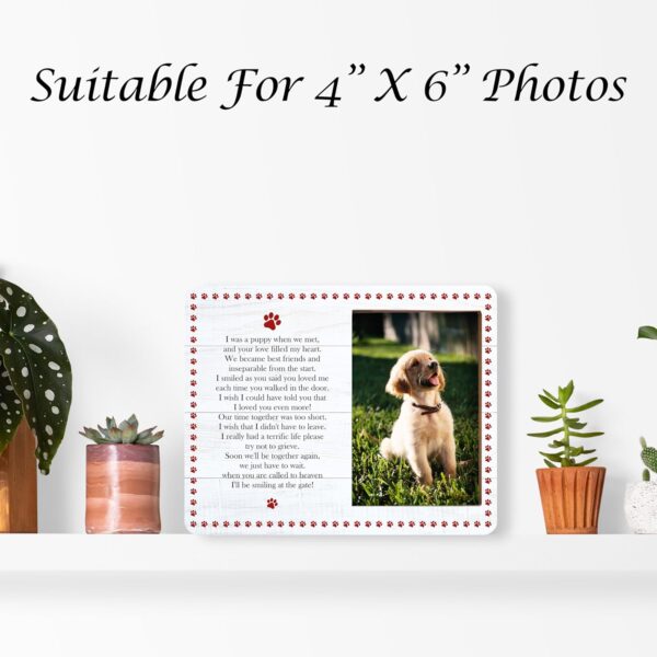 Pet Memorial Pictures Frame, Remembrance Photo Frame, Sympathy Gifts For Loss Of Pet Dog Cat, Farmhouse Home Living Room Bedroom Office Decoration -101 - Image 4