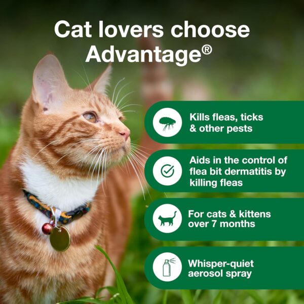 Advantage Cat Flea Treatment Spray | Kills Fleas & Ticks | Cat Flea Spray | 8 oz. - Image 3