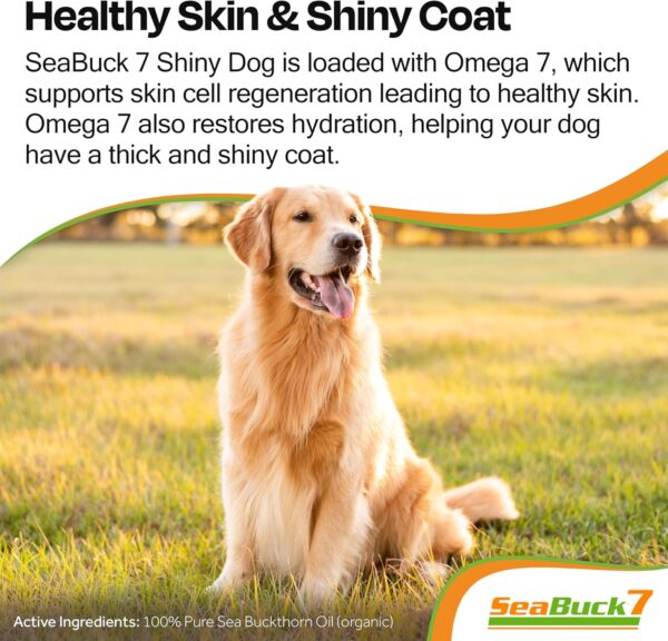 SeaBuck 7 Shiny Dog Sea Buckthorn Oil to Improve Dog Health (2-4 Month Supply, 60ml) – Supports Shiny Coat, Healthy Digestion, and Skin & Paw Pad Health for Dogs - Image 2