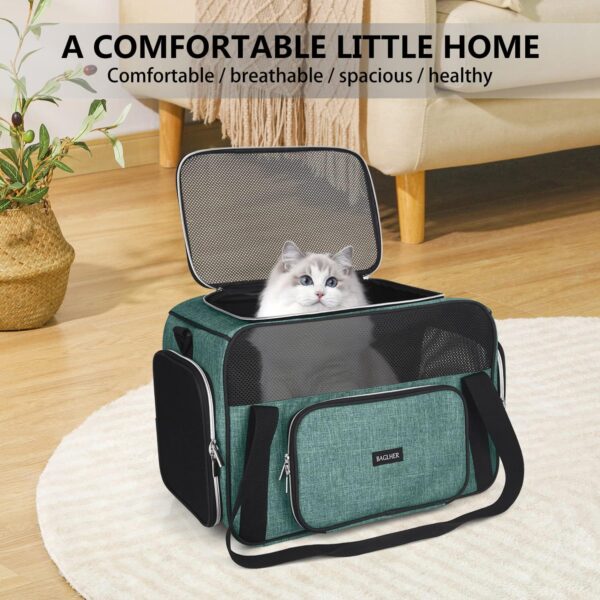 BAGLHER Pet Travel Carrier, Cat Carriers Dog Carrier for Small Medium Cats Dogs Puppies, Airline Approved Small Dog Carrier Soft Sided, Collapsible Puppy Carrier. Green - Image 7