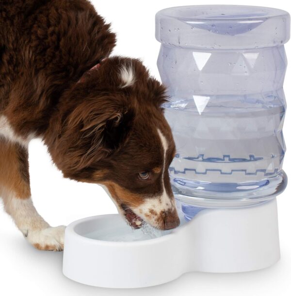 PetFusion H2O Gravity Pet Water Dispenser. Durable 2.5 Gallon Waterer Feeder. Automatic Station for Cats & Small, Medium, Large Dogs, Transparent - Image 6