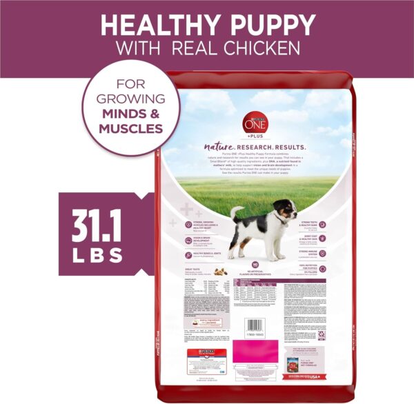 Purina ONE Plus Healthy Puppy Formula High Protein Natural Dry Puppy Food with added vitamins, minerals and nutrients - 31.1 lb. Bag - Image 6