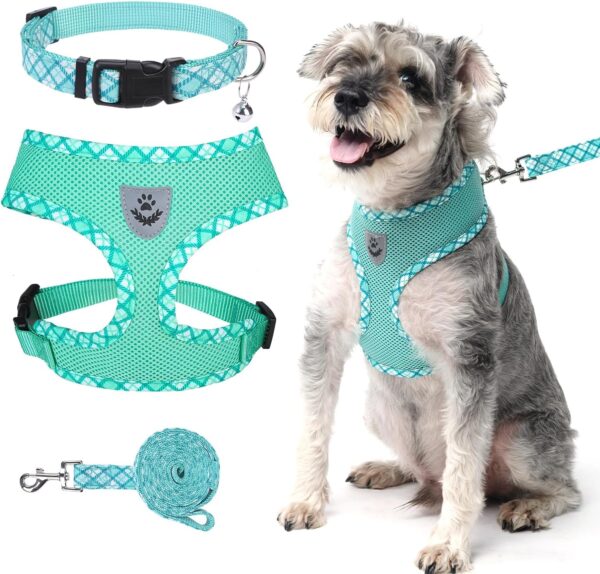 BINGPET Small Dog Harness and Leash Collar Set,Soft Mesh Reflective Dog Vest Harness No Pull,Step in Puppy Harness for Small Medium Dogs Outdoor Walking,Lightweight Adjustable Pet Harness(Green,M)