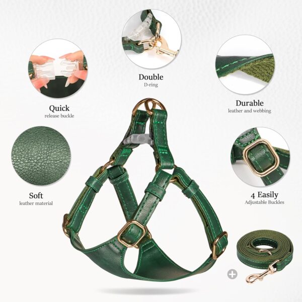 Didog No Pull Dog Harness for Small Dogs, Soft & Lightweight Small Dog Harness and Leash Set, Durable & Adjustable Leather Dog Harness Medium Size Dog, Green, M - Image 3