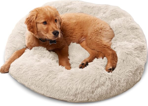 Premium Dog Beds for Large dogs and Medium dogs - Portable Dog Beds & Furniture - Dog Travel - Fits up to 25 lbs, (Small, Beige)