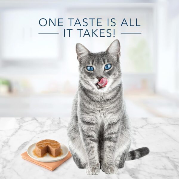 Blue Buffalo Tastefuls Natural Pate Wet Cat Food, Chicken Entrée 5.5-oz cans (Pack of 24) - Image 3