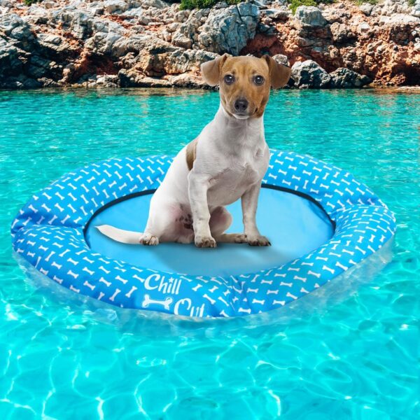 ALL FOR PAWS Dog Float for Pool no Need to inflate Pool Float for Dogs Dog Pool Floats for Small Dogs Dog Floats for Pool Dog Floats for Pool Puncture Proof