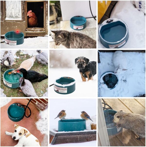 Heated Water Bowl for Outdoor Cats Dogs 2.2L Heated Waterer for Chickens, Rabbits, Squirrels Provides Drinkable Water in Winter Outside Heated Dog Bowl Thermal-Bowl for Bird Bath - Image 2