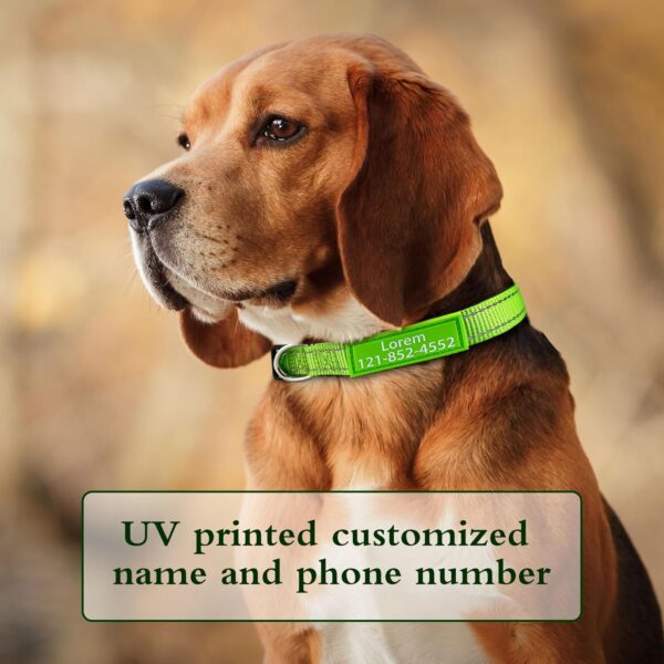 Personalized Dog Collar, Custom ID Collar Reflective Nylon Collar with Pet Name and Phone Number 4 Adjustable Sizes X-Small Small Medium Large Quick Release Buckle and D-Ring (Solid) - Image 5